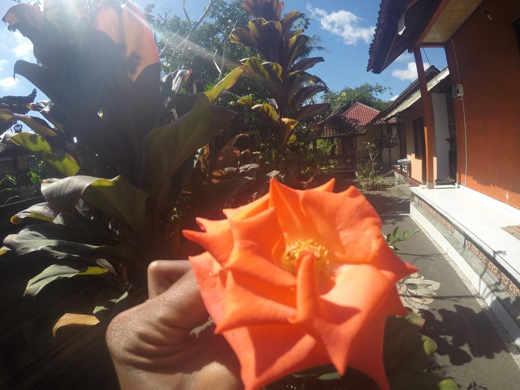 Dipa Home Stay Ubud  Exterior photo