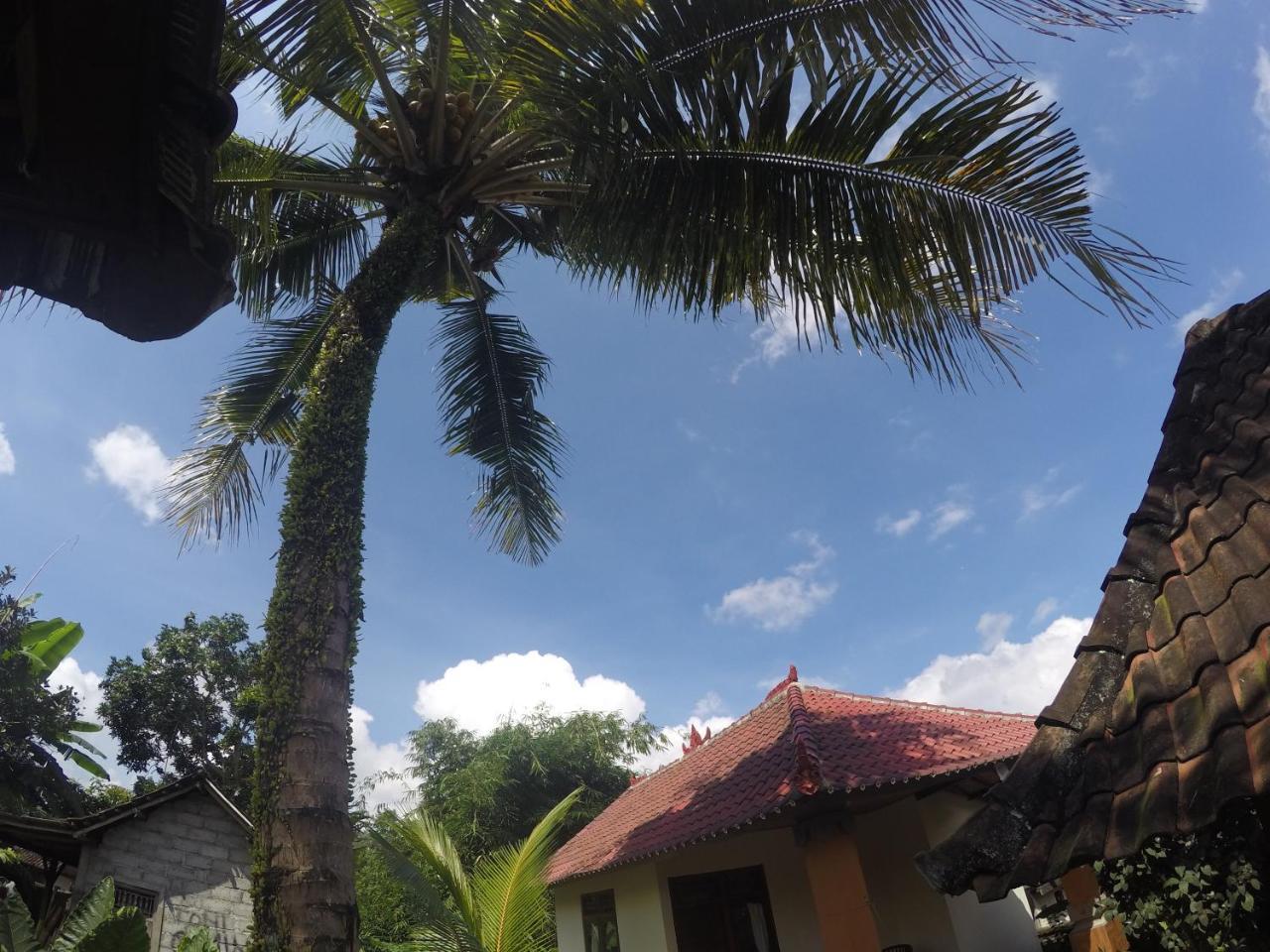 Dipa Home Stay Ubud  Exterior photo