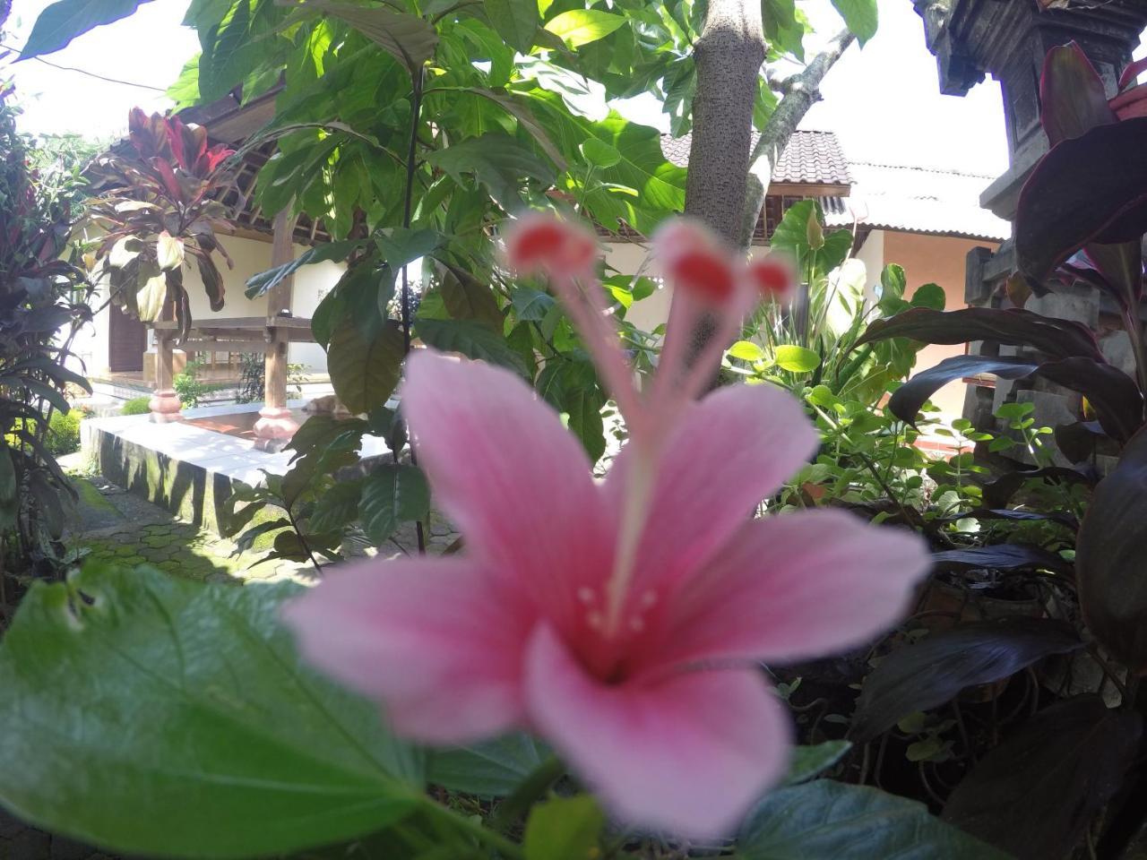 Dipa Home Stay Ubud  Exterior photo